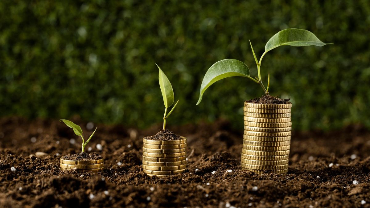 Mutual Funds in Nigeria: A Beginner's Guide