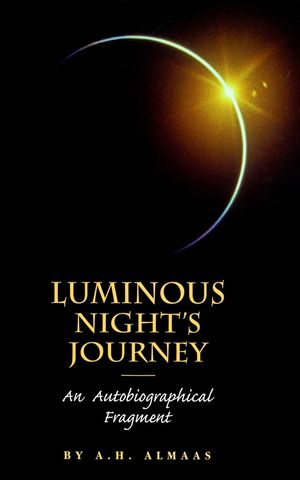 Luminous Night's Journey