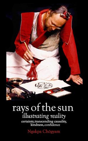 Rays Of The Sun: Illustrated Reality