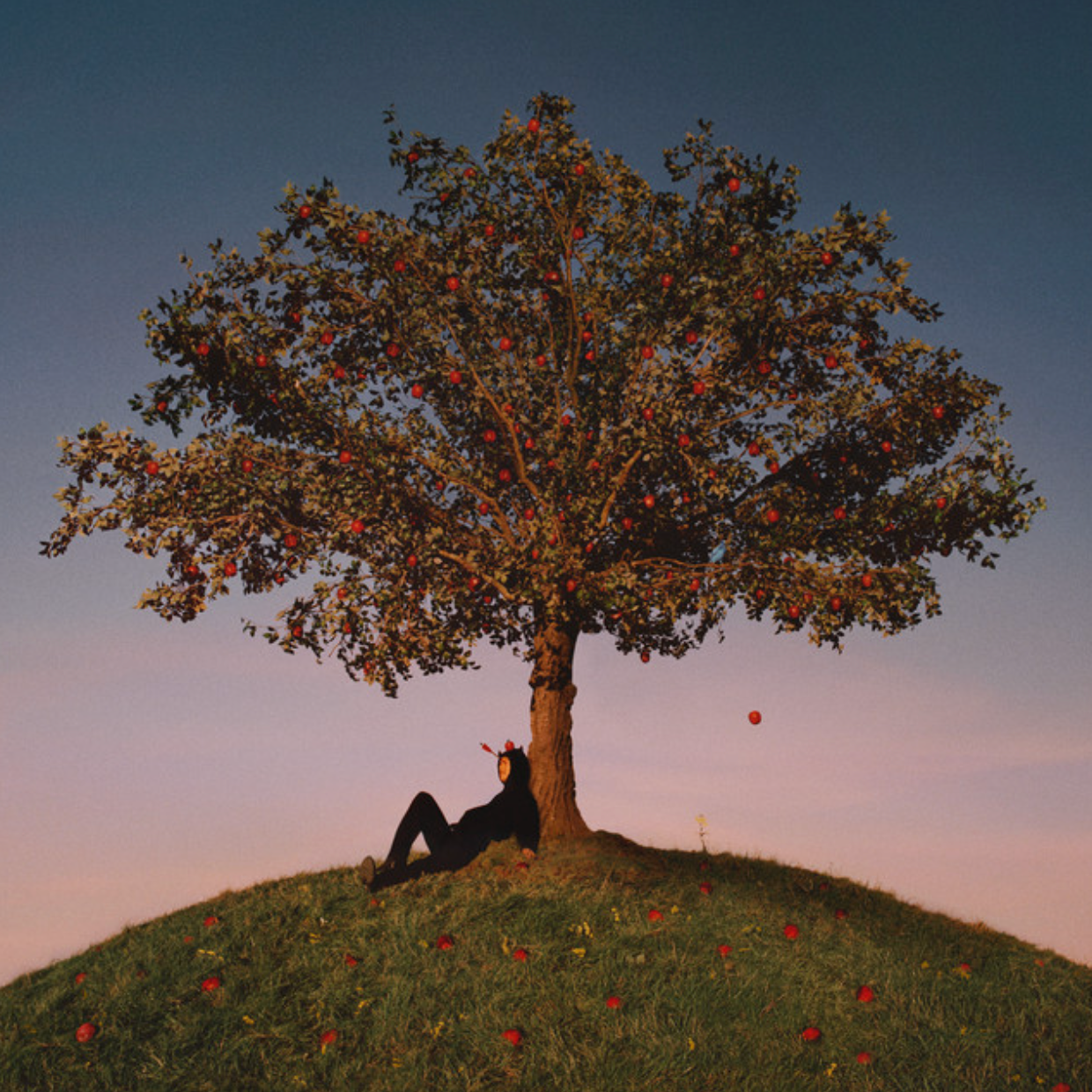 Projects worked on 5 of 22