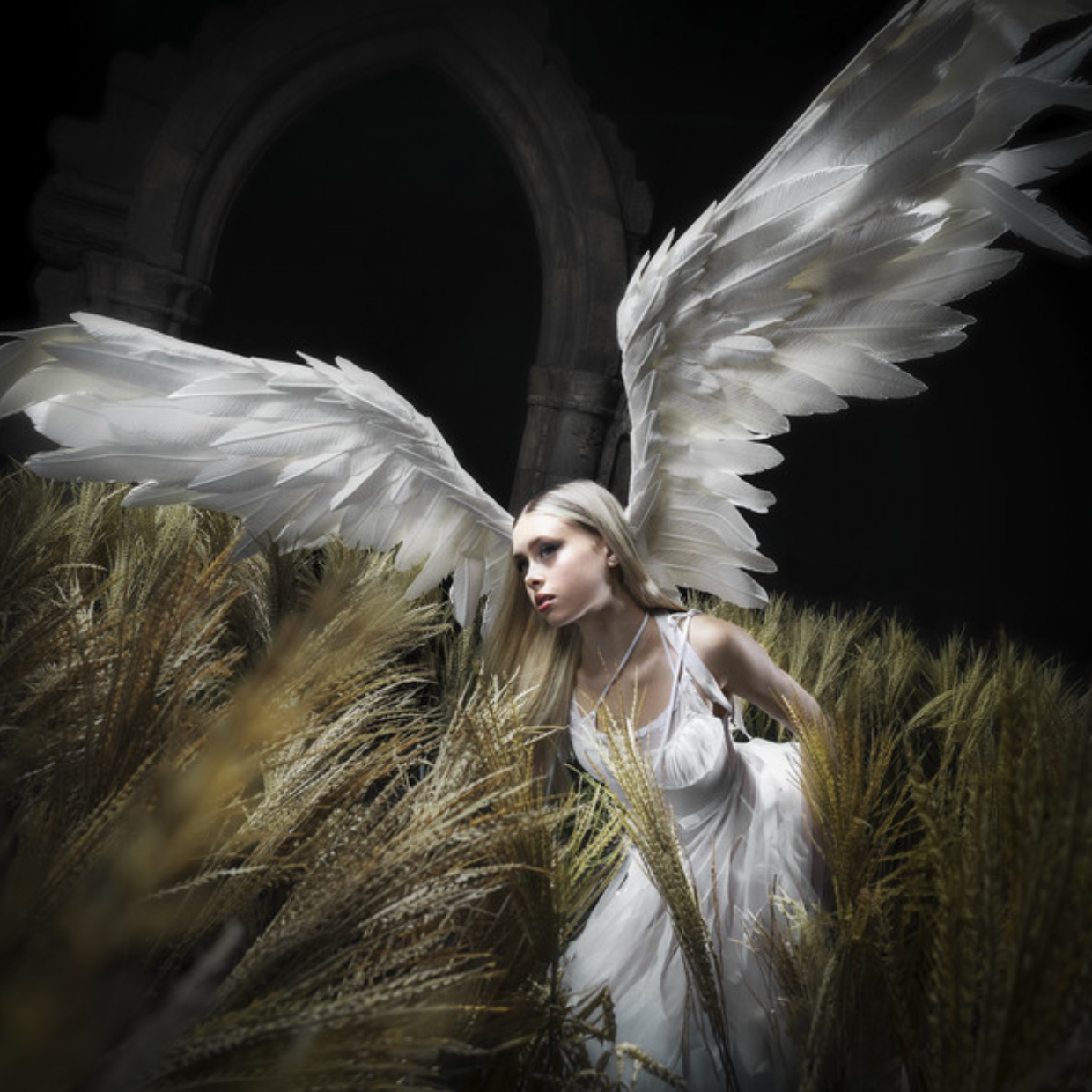 Projects worked on 20 of 22