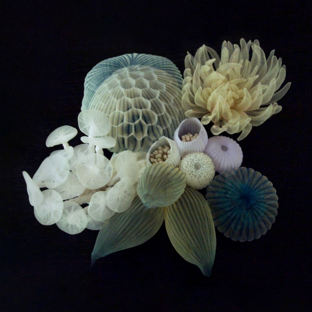 Projects worked on 3 of 22