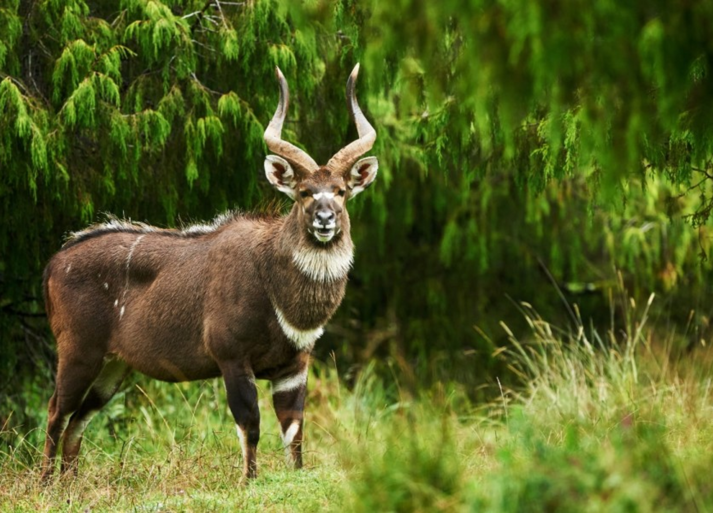 Grand Ethiopia Tours 16 Days