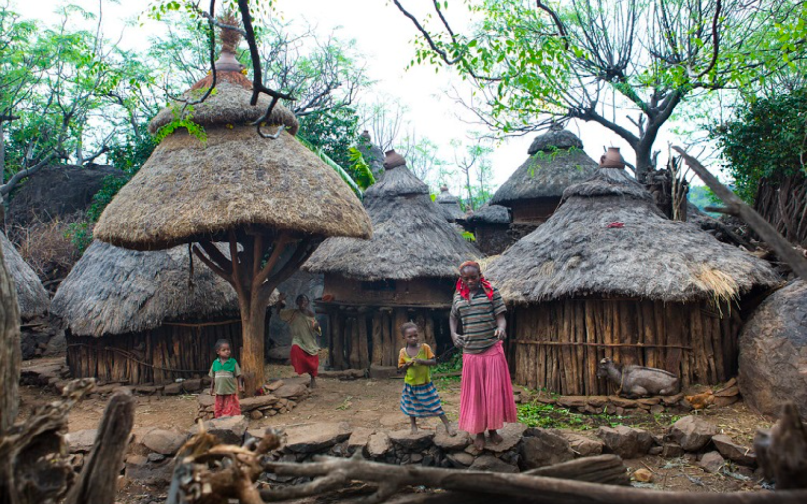 Lake Chamo - Konso Village