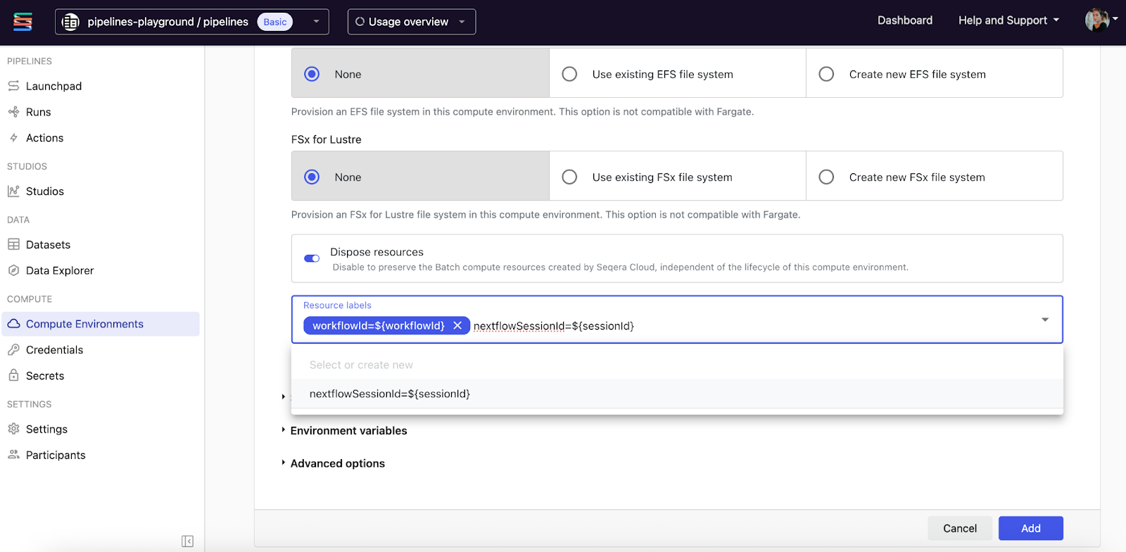 Add dynamic resource labels during cloud compute environment creation. Workspace default labels are prefilled and can be overridden.