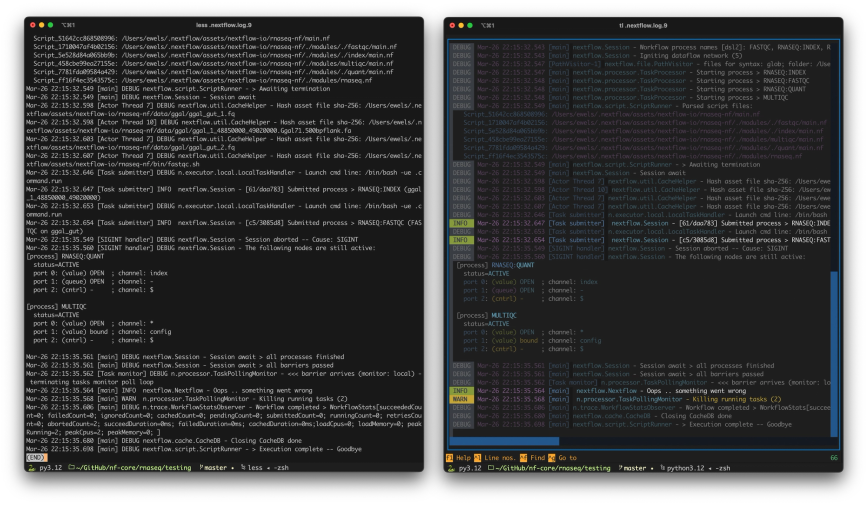 Formatting .nextflow.log files with Toolong