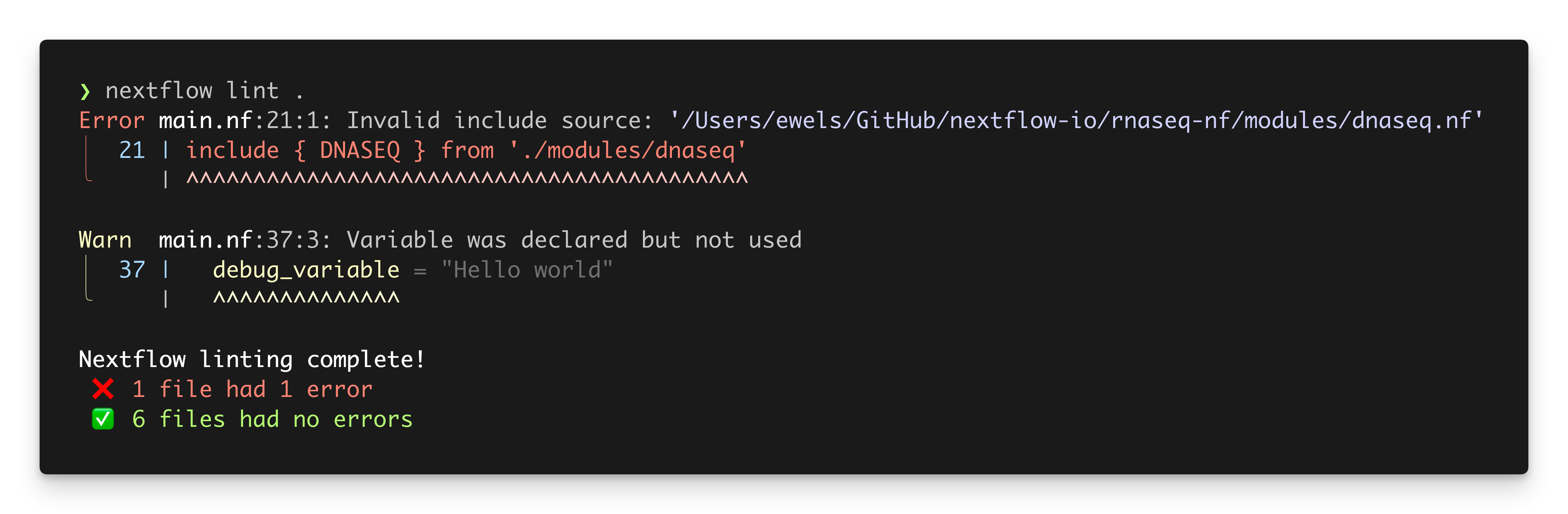 Output from the new 'nextflow lint' command