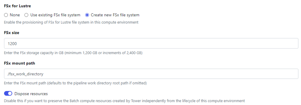 Using Tower with FSx for Lustre Storage