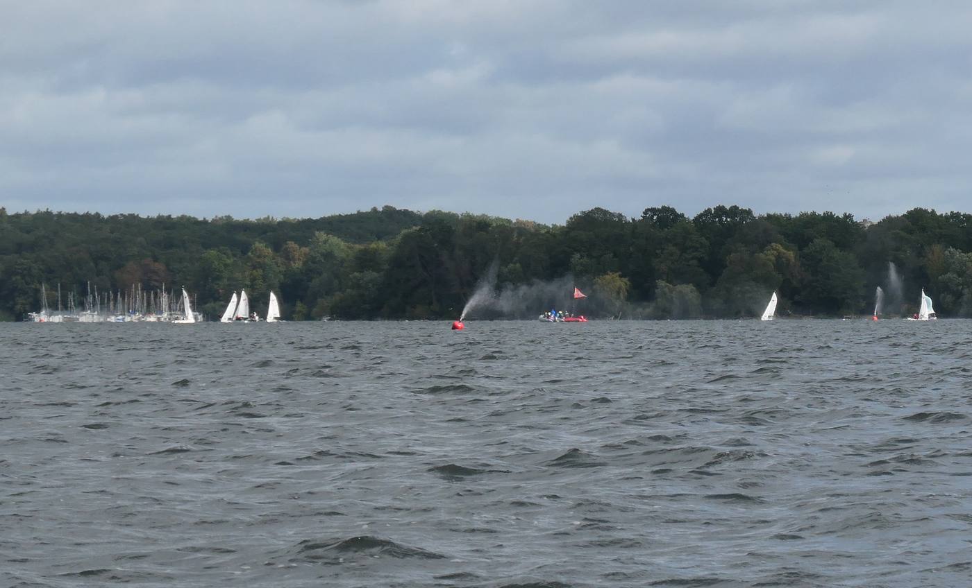 Spouting buoys on the Tegeler See