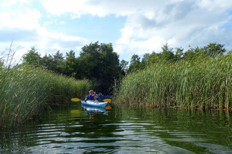 Kajak zwischen hohen Schilfwänden auf der Havel.