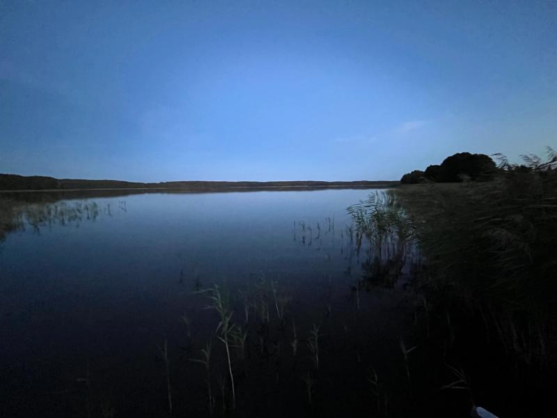 Zwei Zelte auf einer Wiese im Abendlicht.