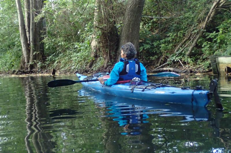 Paddlerin im blauen Kajak vor Bäumen am Ufer.