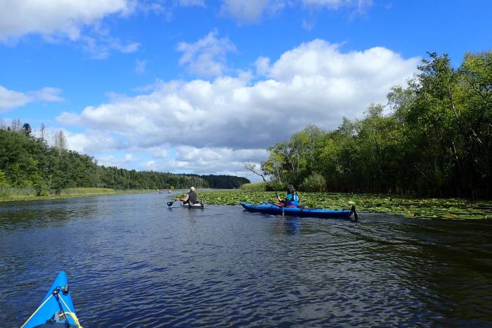 Two paddlers on the Havel under a blue sky with clouds, woods and water lilies along the bank.
