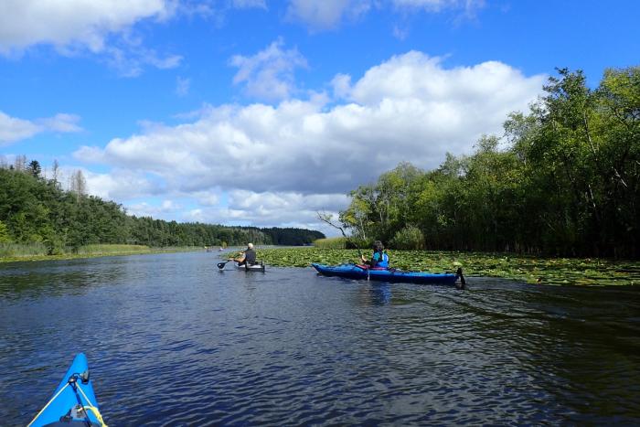 Zwei Kanuten paddeln auf der Havel unter blauem Himmel mit Wolken, am Ufer Wald und Seerosen.