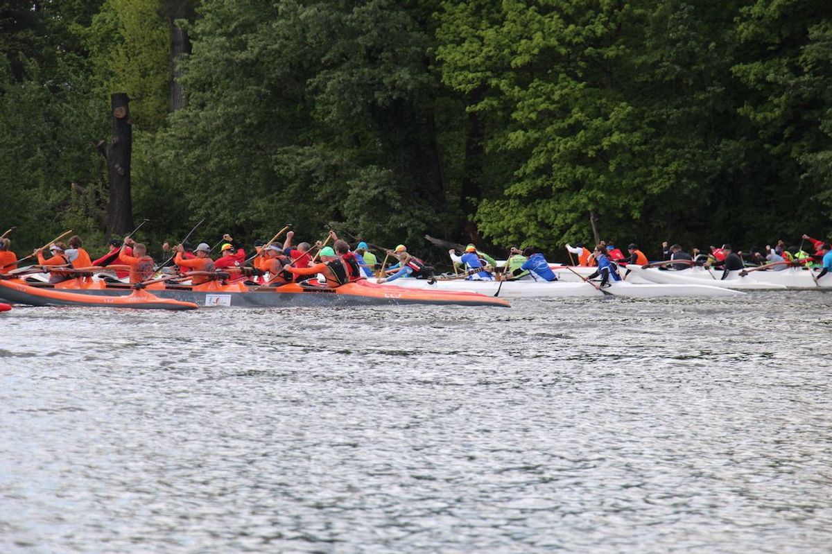 OC-6 Regatta Rund um Scharfenberg