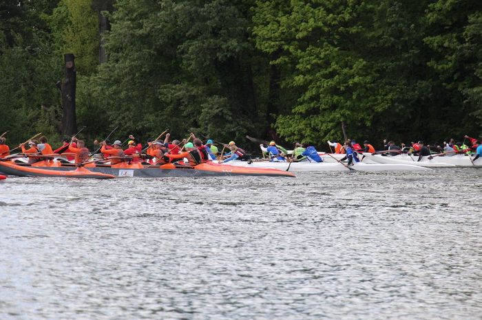 OC-6 Regatta Rund um Scharfenberg