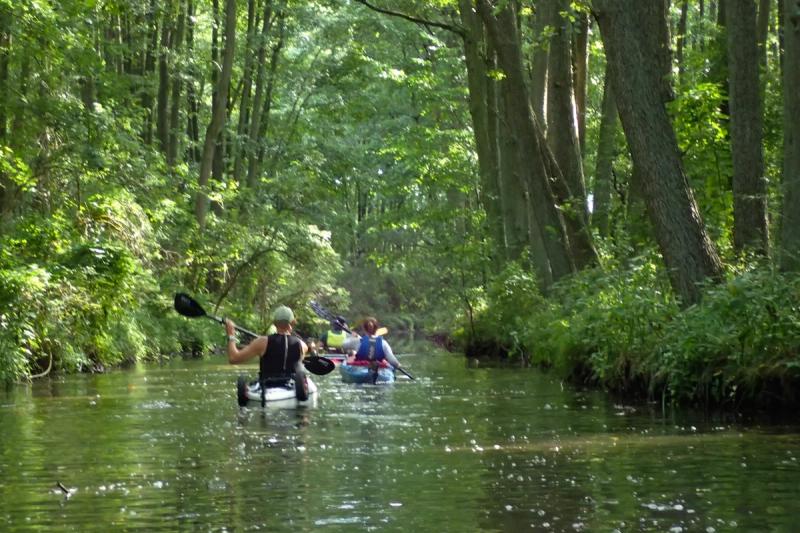 Zwei Paddler auf einem schmalen, von hohen Bäumen gesäumten Kanal.