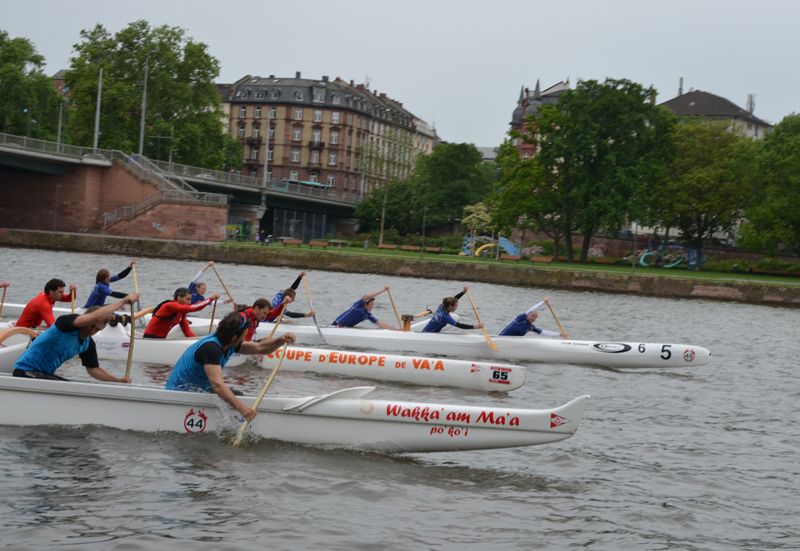 Outrigger-Sechser beim Start des Main Metropolitan Cup
