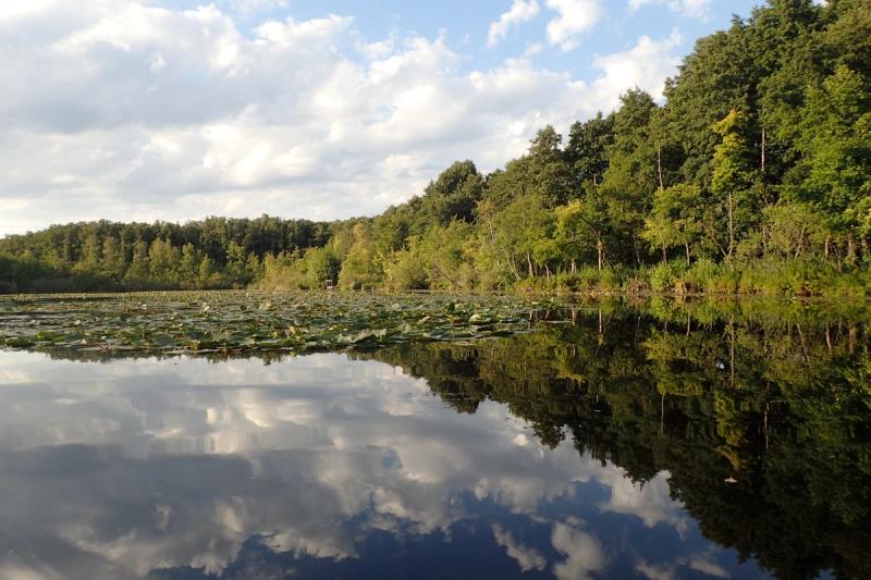 Ruhiger See mit Wolkenspiegelung und bewaldetem Ufer.