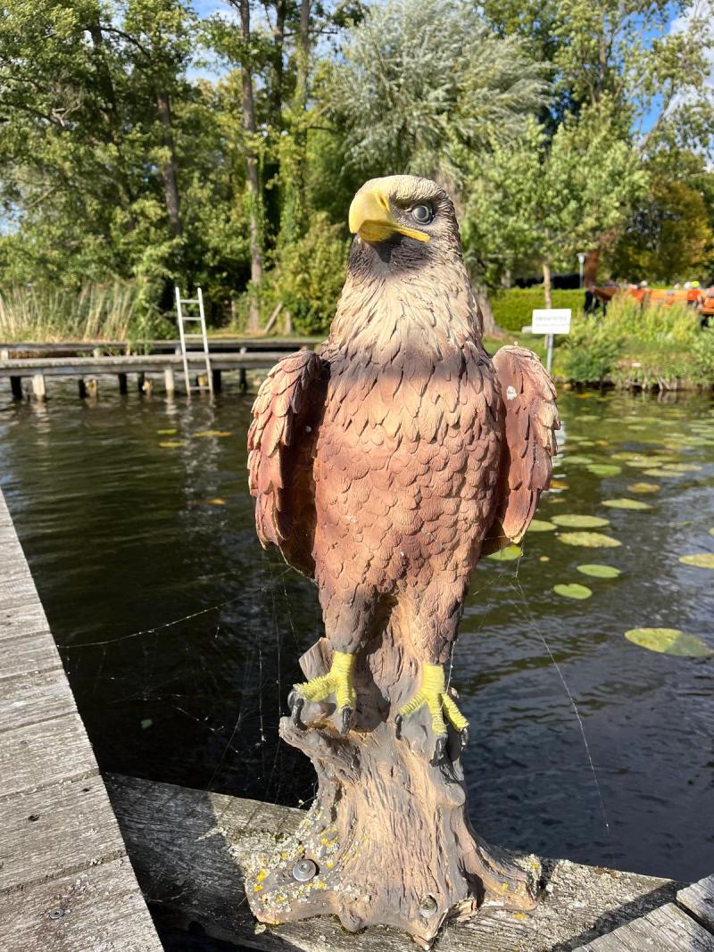 Seeadler-Figur auf einem Steg am See.