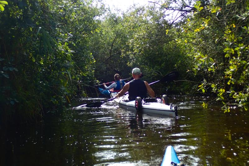 Zwei Paddler in einem schmalen, dunklen Kanal mit Büschen am Ufer.