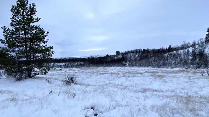 Et snødekt jorde med flekker av gress og en overskyet himmel.