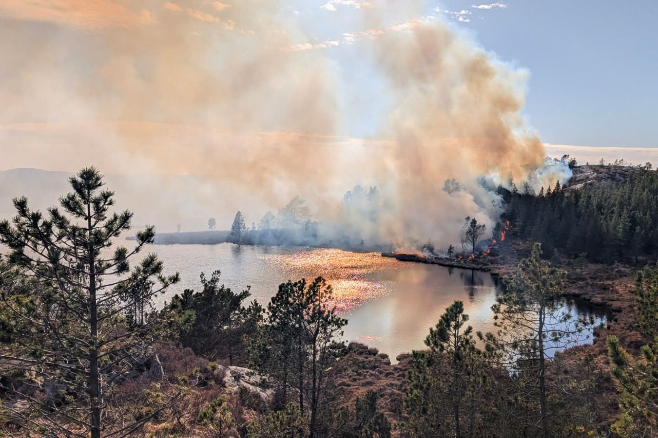 En skogbrann brenner langs bredden av en innsjø, med tykk røyk som stiger opp over vannet og trærne.