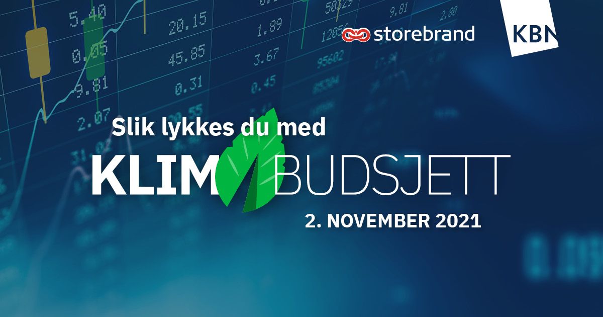 slik-lykkes-du-med-klimabudsjett-annonsoer-featured.jpg