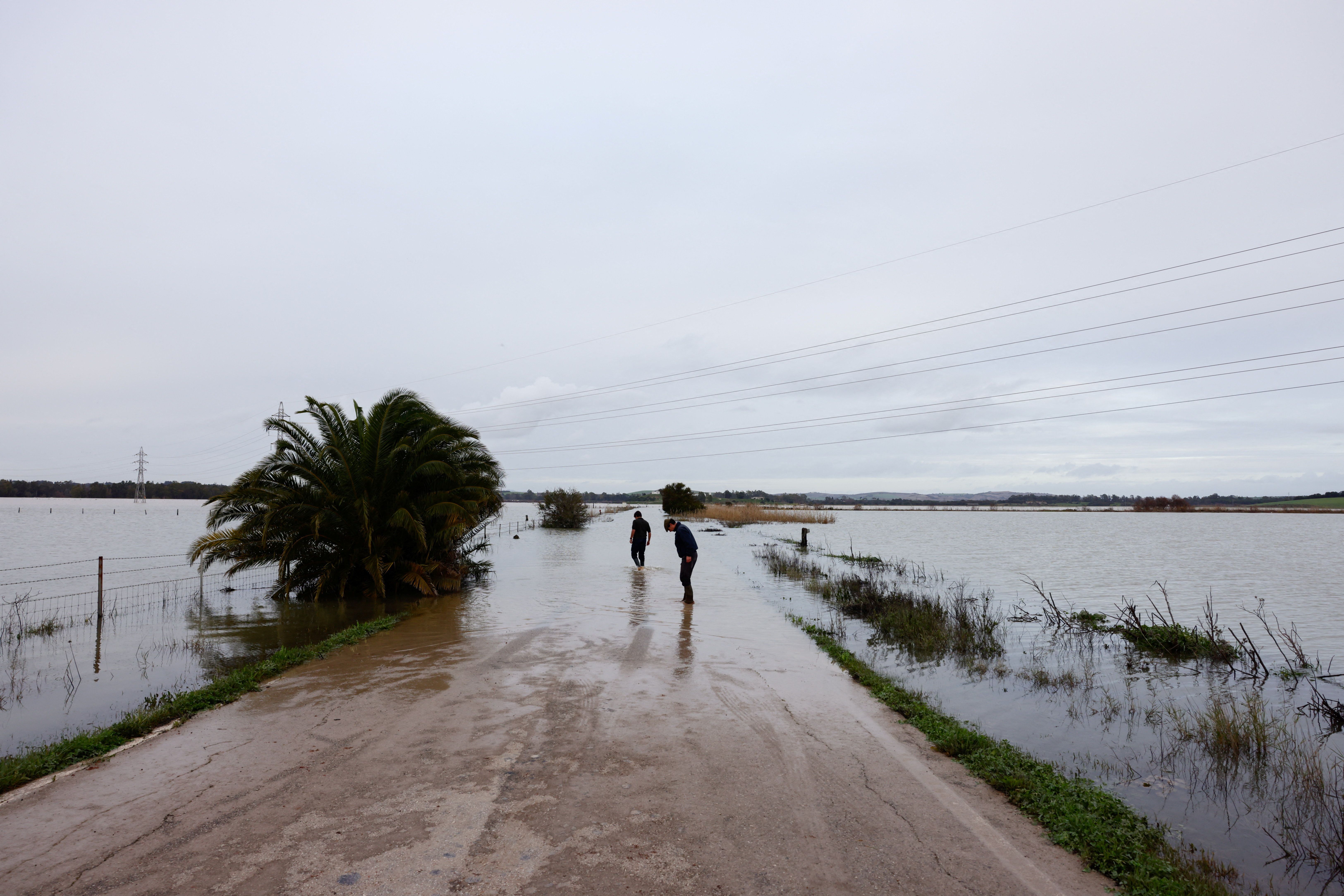 En oversvømt vei med en stor palme i vannet, to personer som går i det fjerne under en skyet himmel.