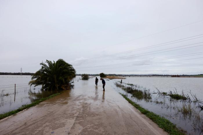 En oversvømt vei med en stor palme i vannet, to personer som går i det fjerne under en skyet himmel.