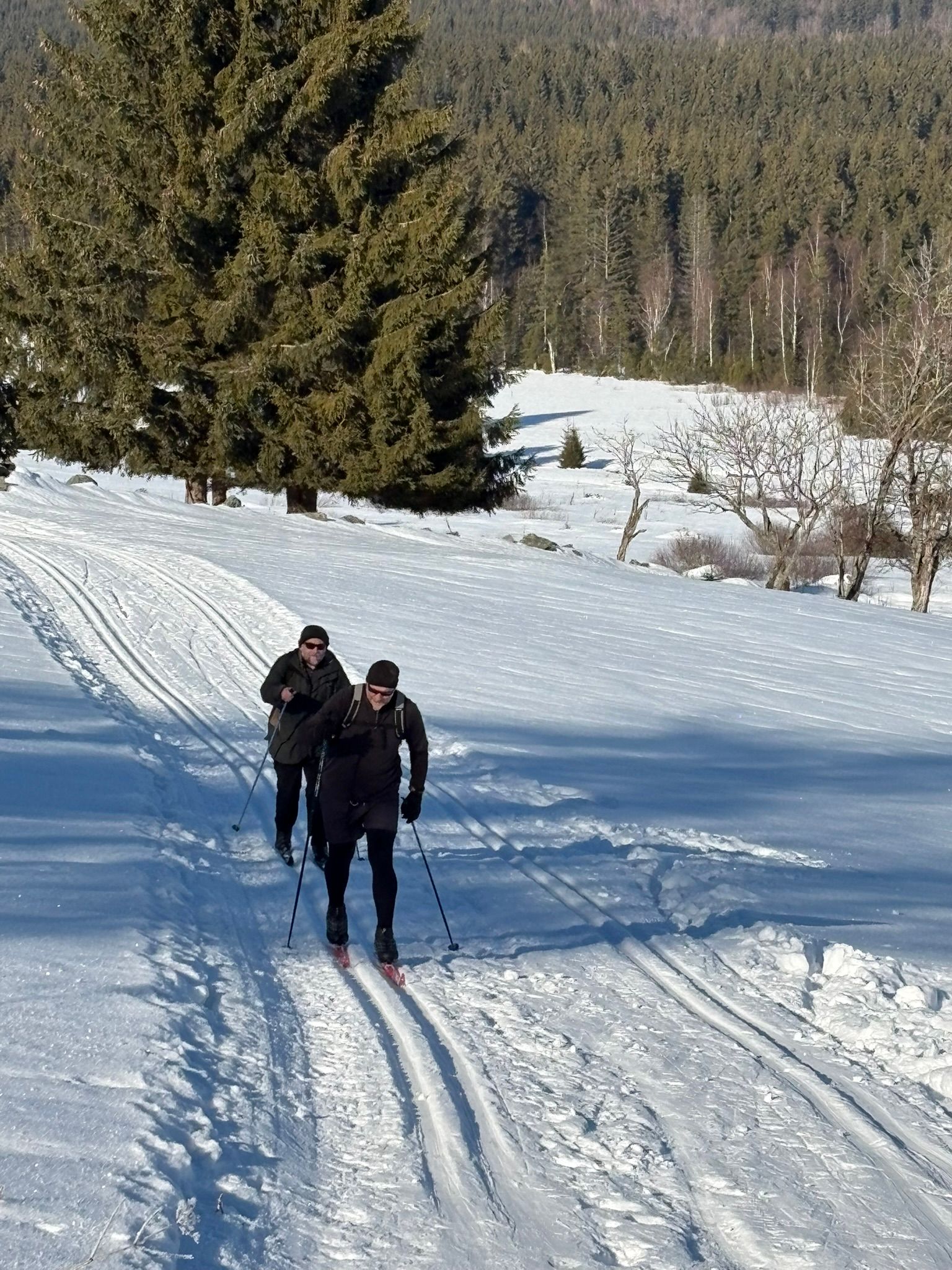 Zimní soustředění OBP Šumava, fotka 2 z 49