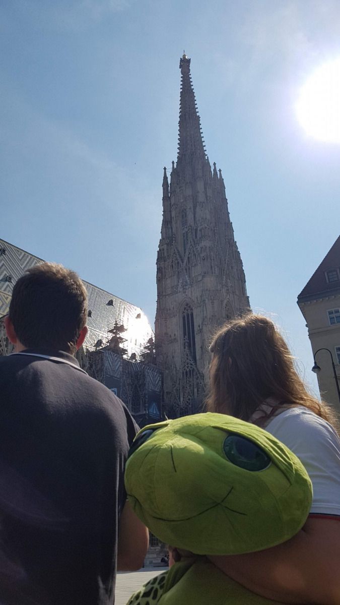 Vienna, photo 4 of 49