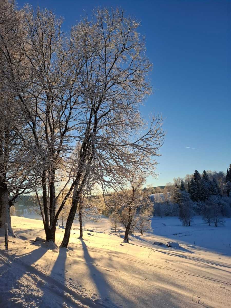 Bohemian Forest training camp, photo 29 of 90