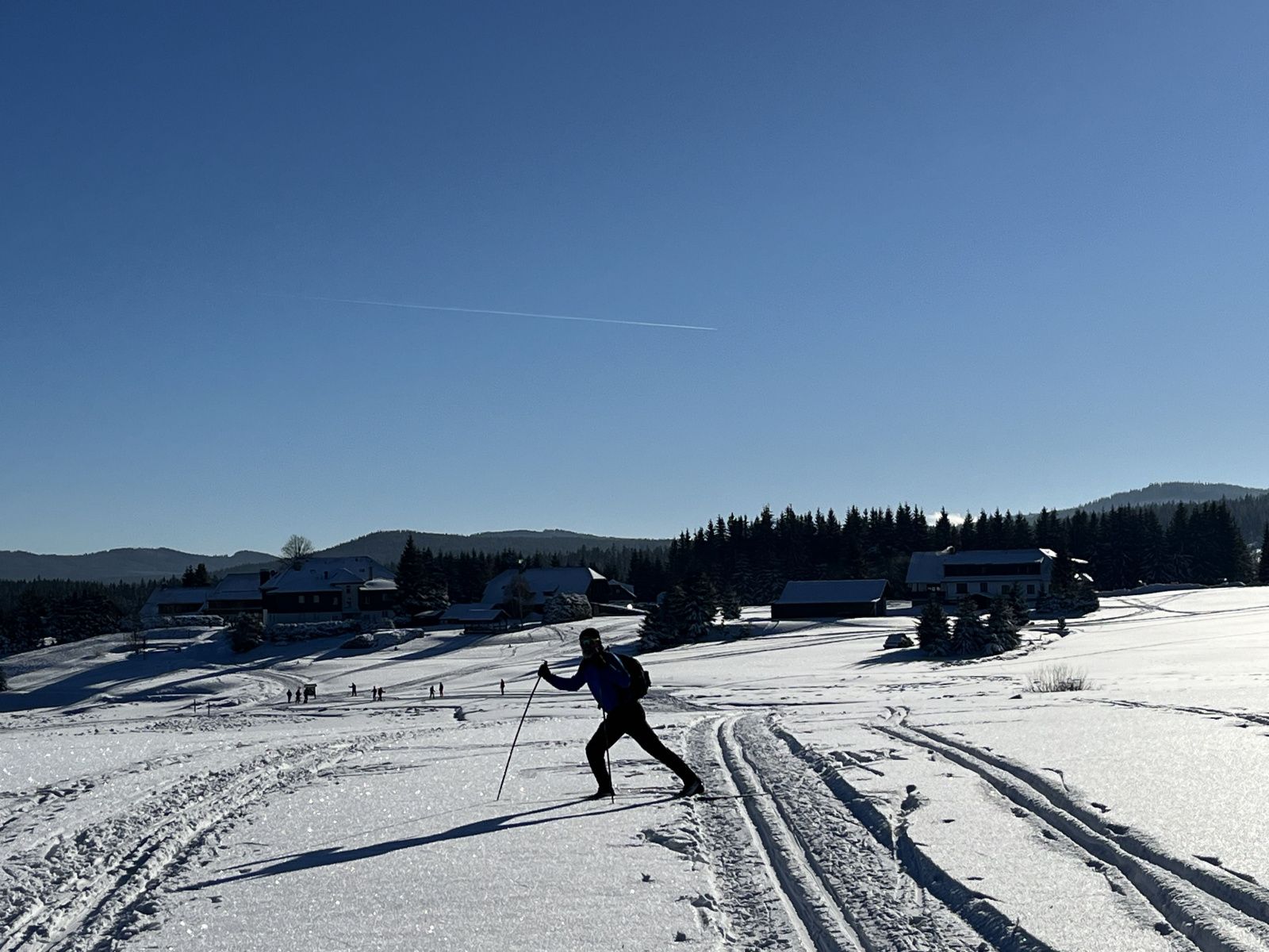 Bohemian Forest training camp, photo 5 of 22