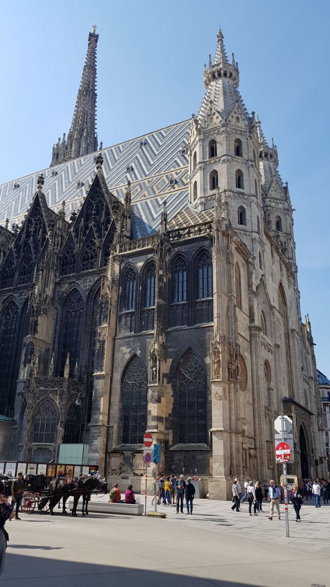 Vienna, photo 2 of 49