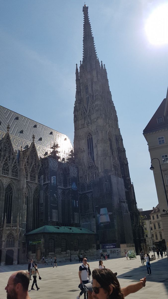Vienna, photo 5 of 49