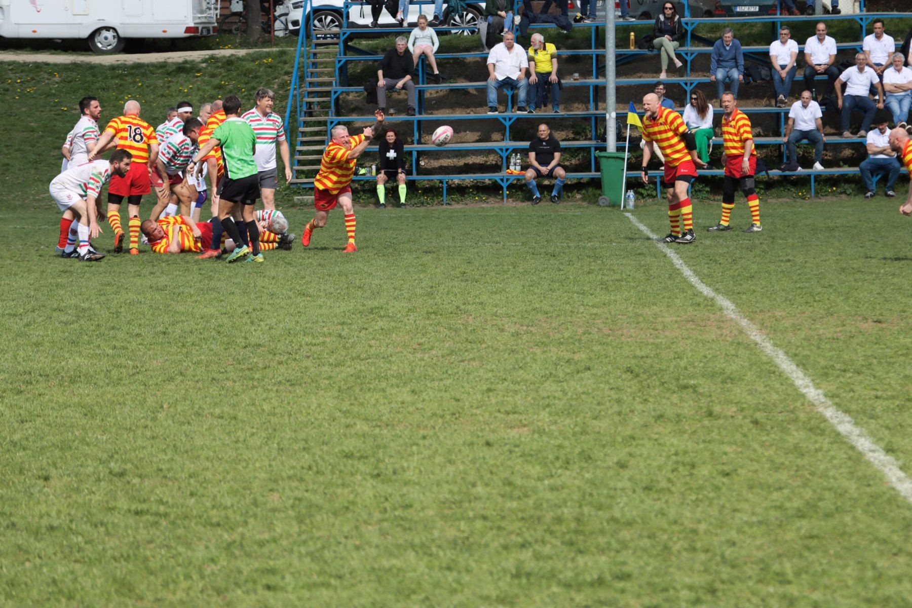 Archiball Cote, photo 21 of 58