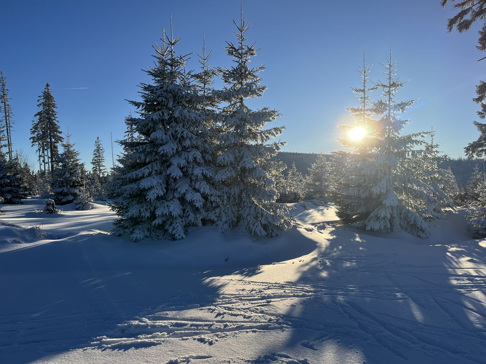 Bohemian Forest training camp, photo 5 of 90