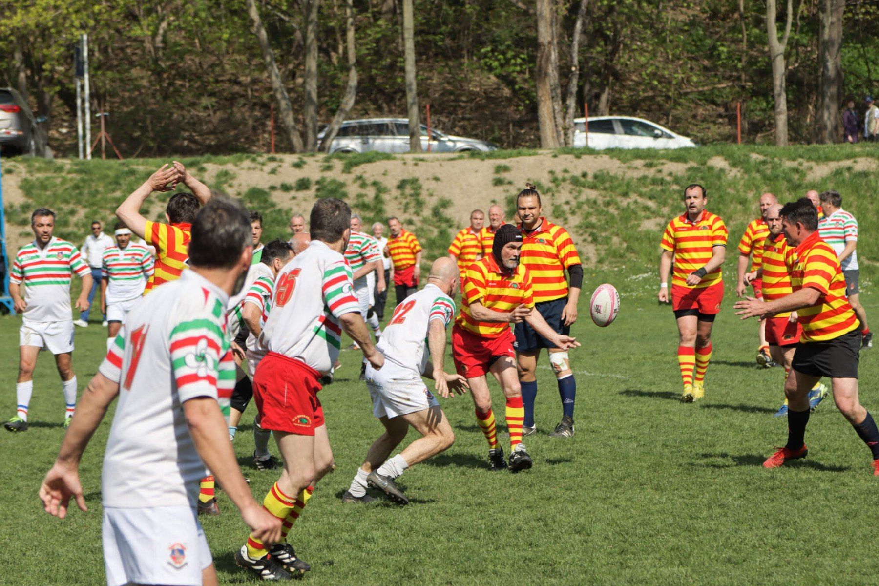Archiball Cote, photo 32 of 58