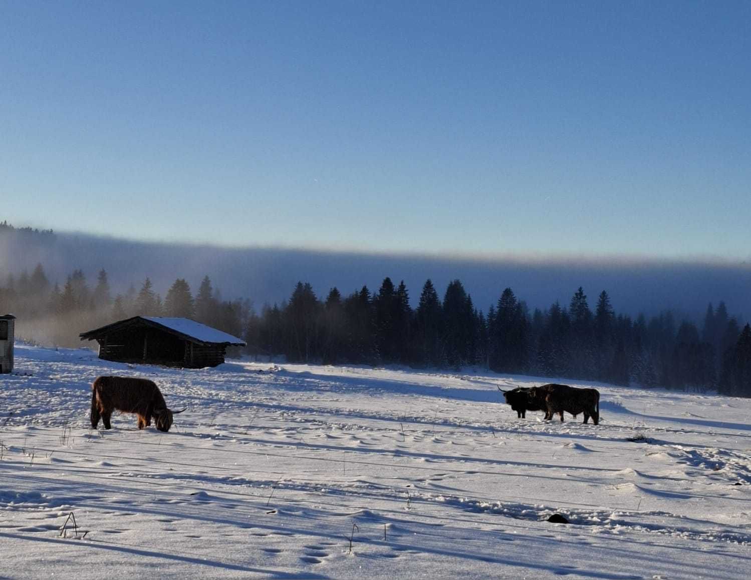 Bohemian Forest training camp, photo 78 of 90