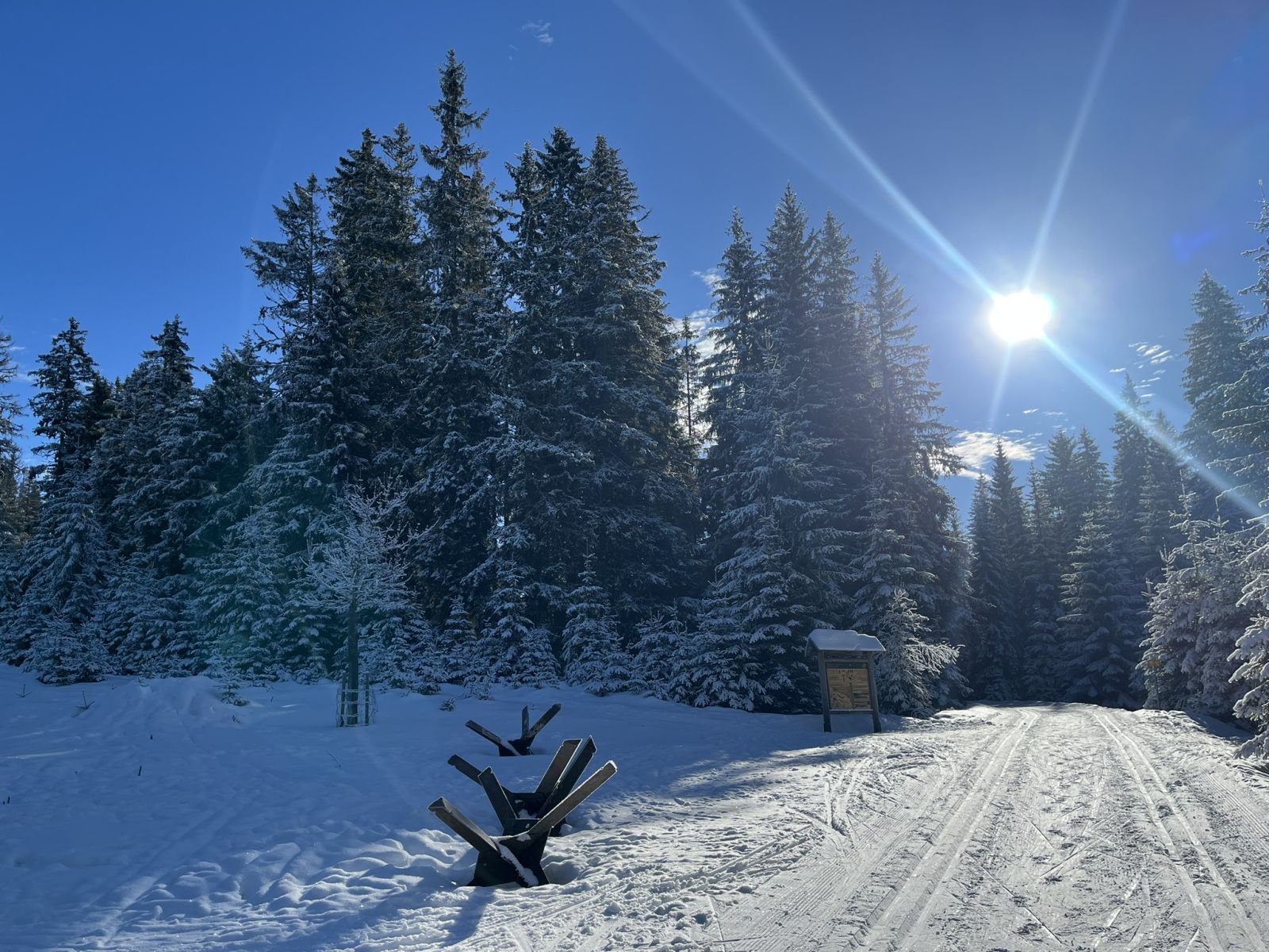 Bohemian Forest training camp, photo 6 of 90