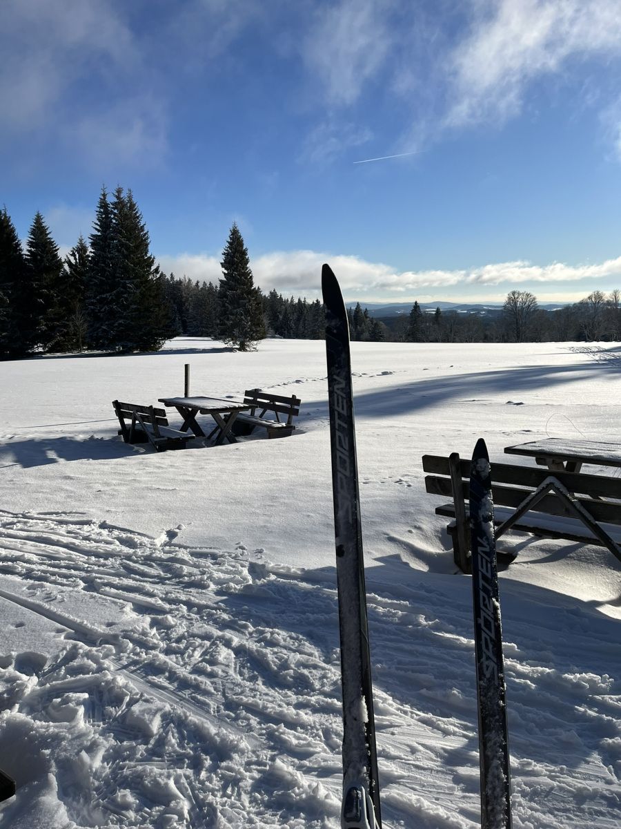 Bohemian Forest training camp, photo 89 of 90