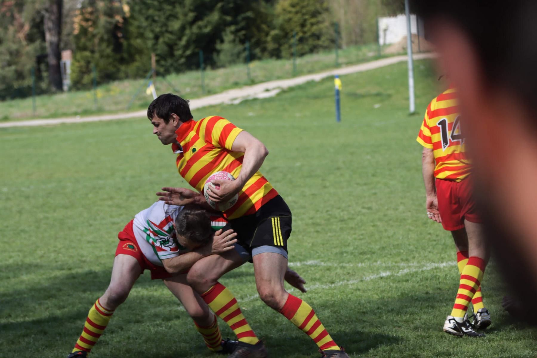 Archiball Cote, photo 33 of 58