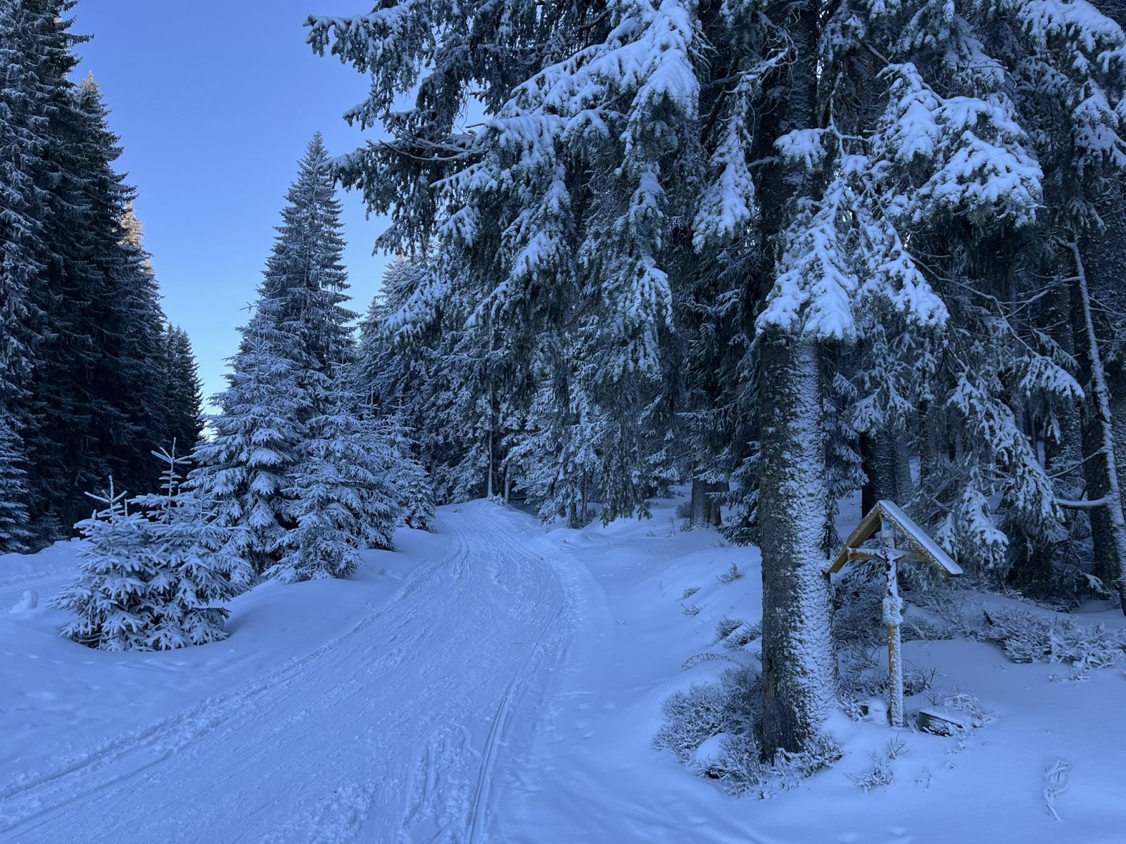 Bohemian Forest training camp, photo 90 of 90