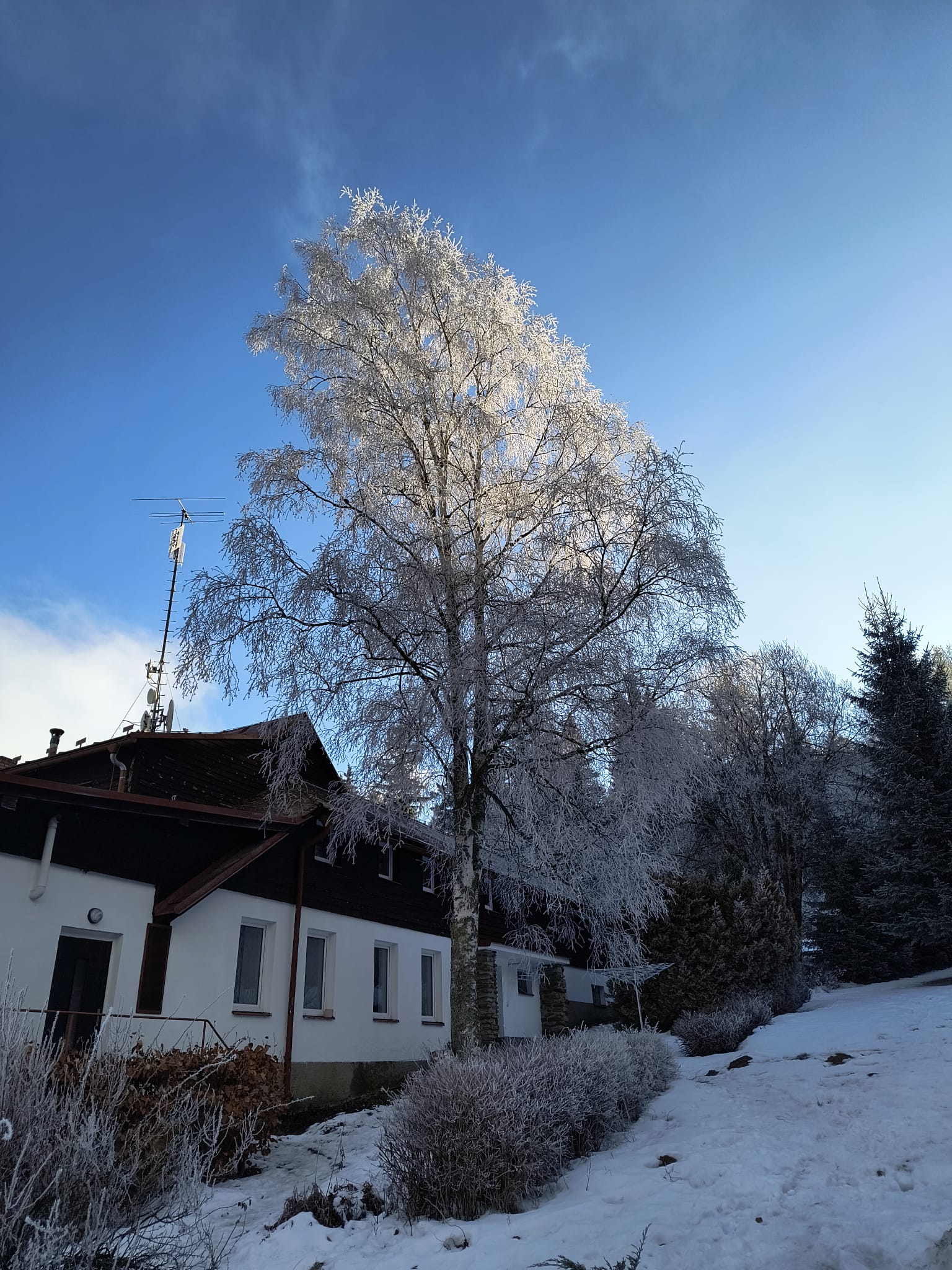 Zimní soustředění OBP Šumava, fotka 23 z 49