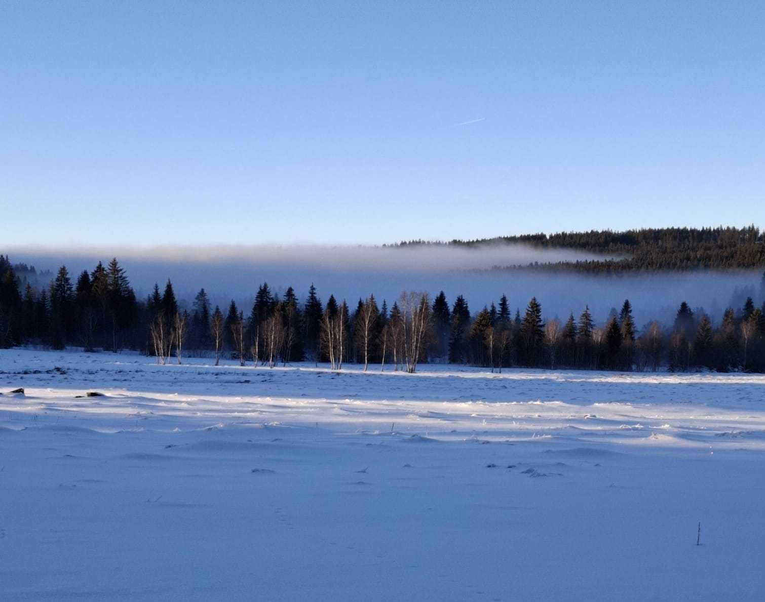 Bohemian Forest training camp, photo 43 of 90