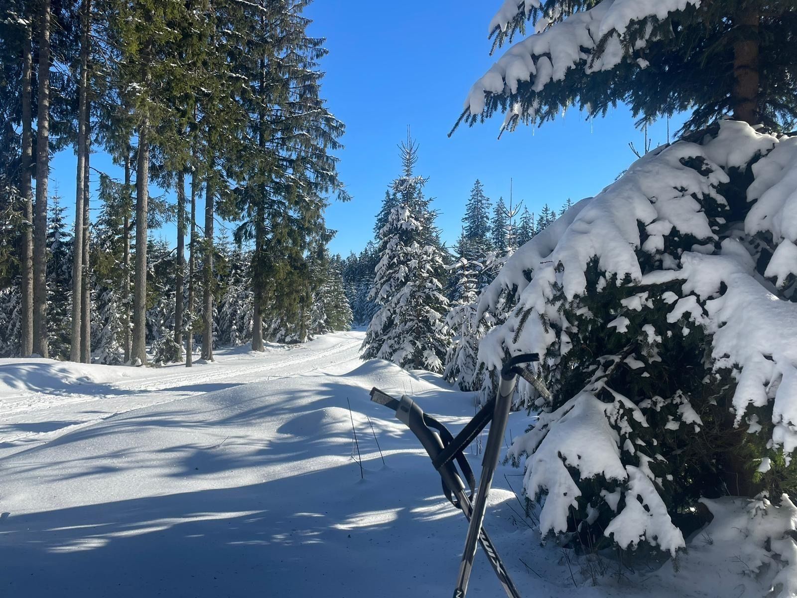 Bohemian Forest training camp, photo 9 of 22
