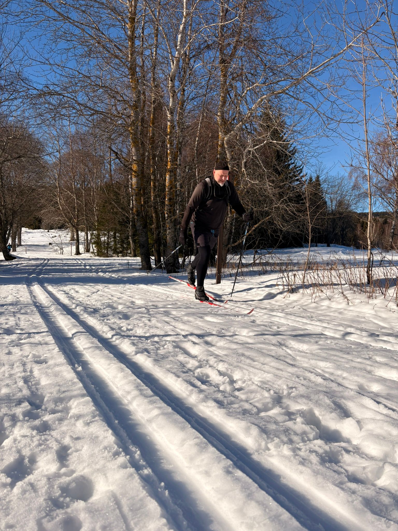 Zimní soustředění OBP Šumava, fotka 38 z 49