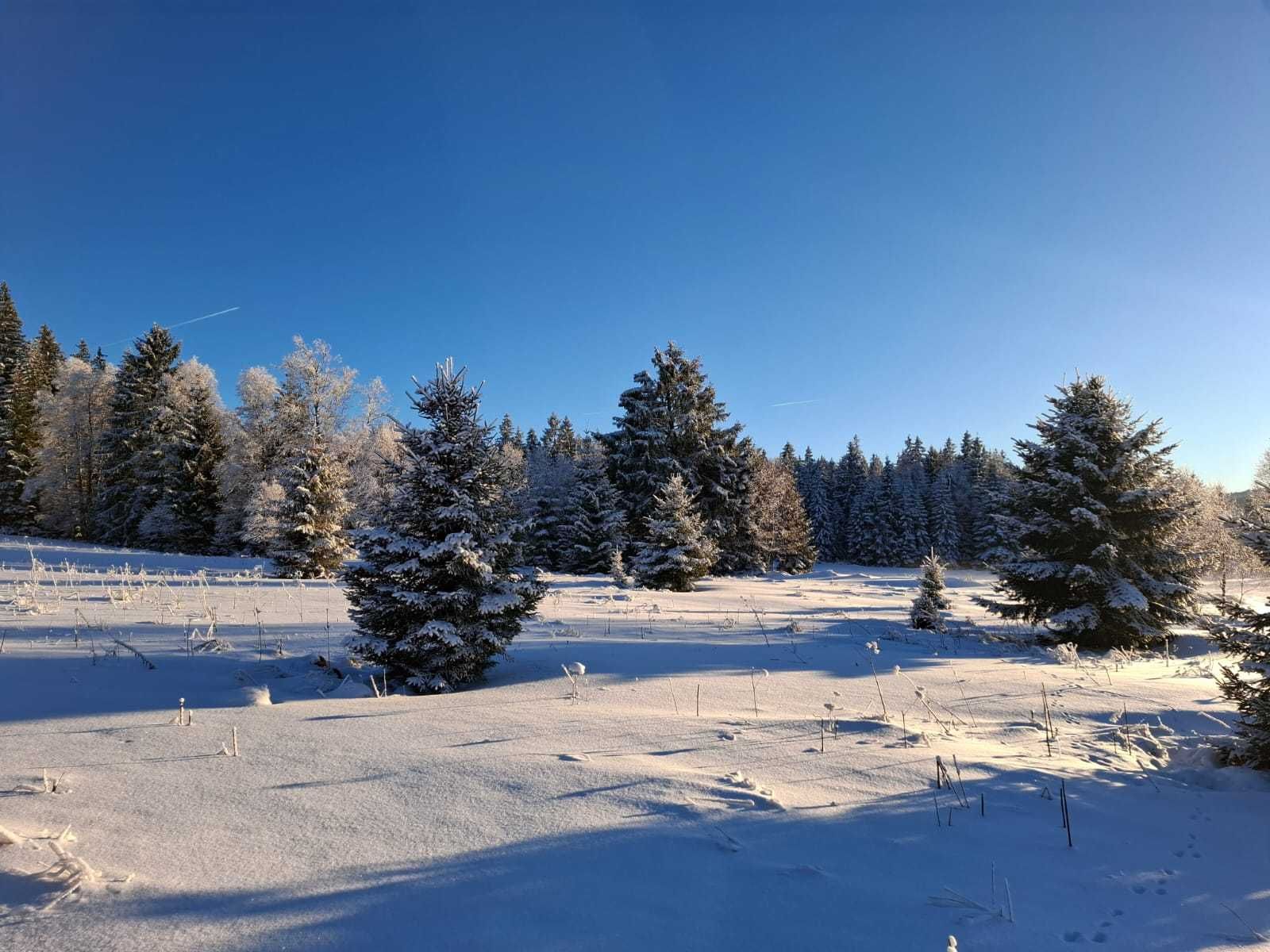 Bohemian Forest training camp, photo 28 of 90