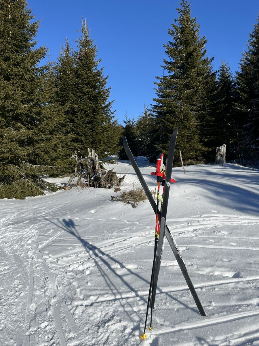 Bohemian Forest training camp, photo 10 of 90
